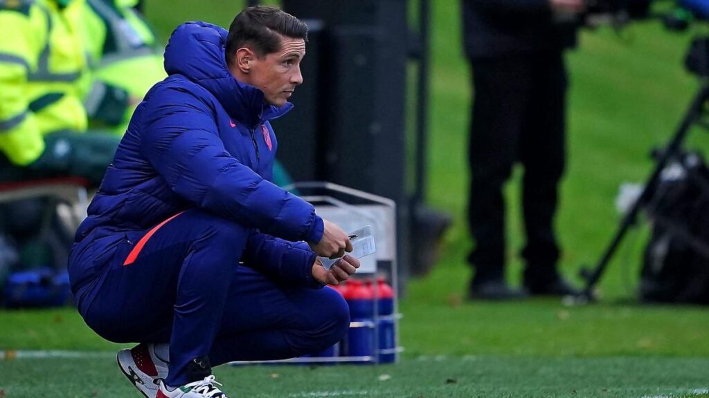 fernando-torres.jpg