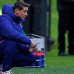 fernando-torres.jpg