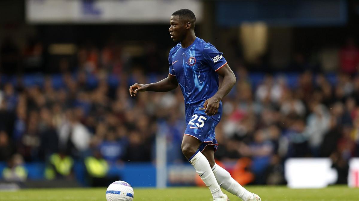 moises-caicedo-2425.jpg