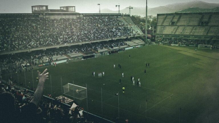 stadio-arechi.jpg