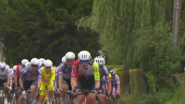 tdf-686bb5a376b1a926638480.jpg