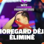 GROSSE-SURPRISE-le-champion-de-Montpellier-Moregard-ELIMINE-au-1er-tour-WTT-Champions-Francfort-2176.jpeg