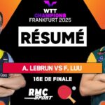 Resume-Alexis-Lebrun-est-il-venu-a-bout-de-l-australien-Finn-Luu-WTT-Champions-Montpellier-2176440.j.jpeg